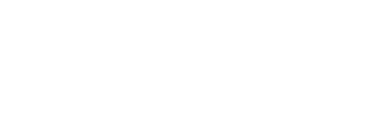 MF Soluzioni Digitali